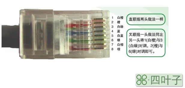 网线的正反接法及用途