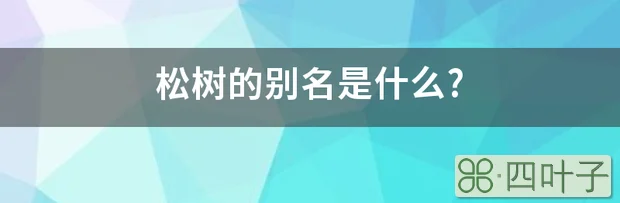 松树的别名是什么?