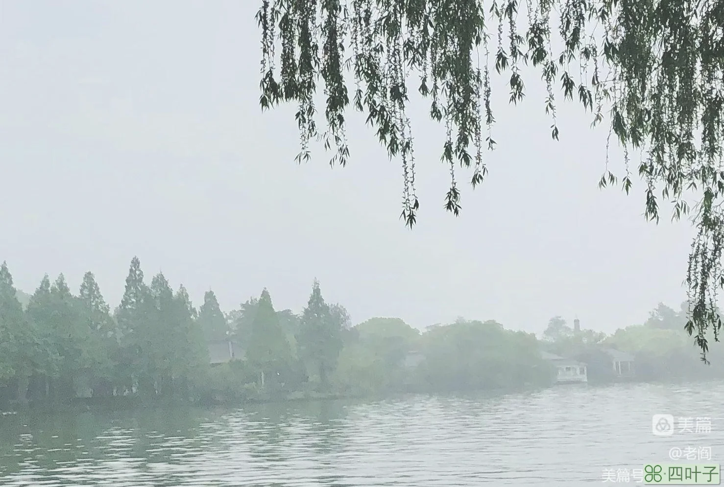 春日里的和煦微凉，烟雨朦胧里的诗意西湖