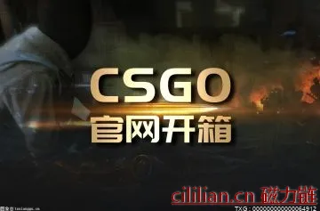 最多玩家认可的CSGO正规开箱网站合集 CSGO退出全屏游戏方法分享 热讯