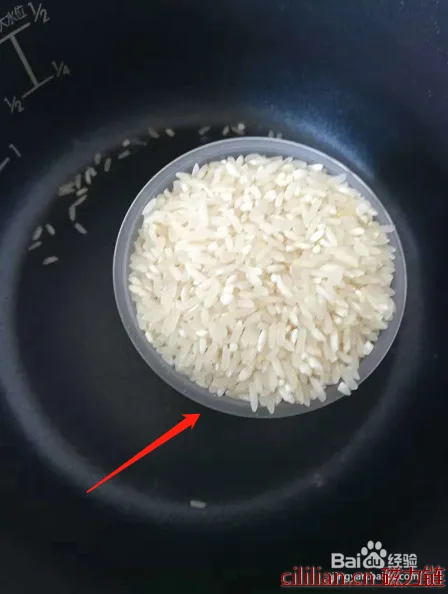 如何用电饭锅煮饭？使用电饭锅煮米饭的步骤？