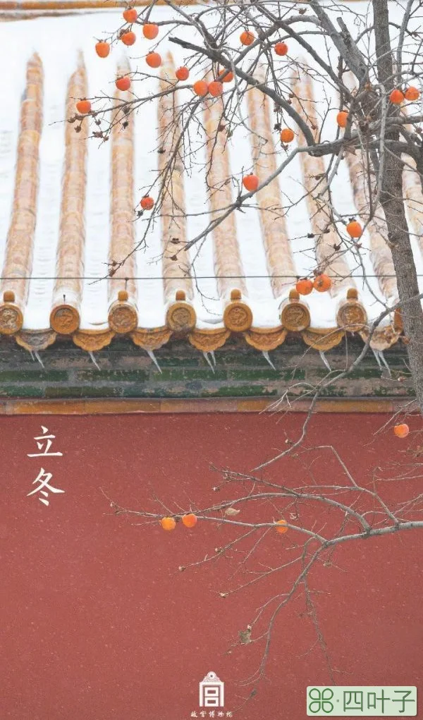 雪中故宫是雪景天花板了详细介绍