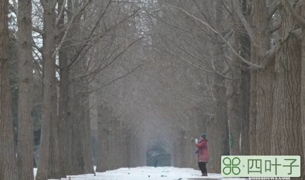 过年前全国各地天气如何？多地即将迎来雨雪