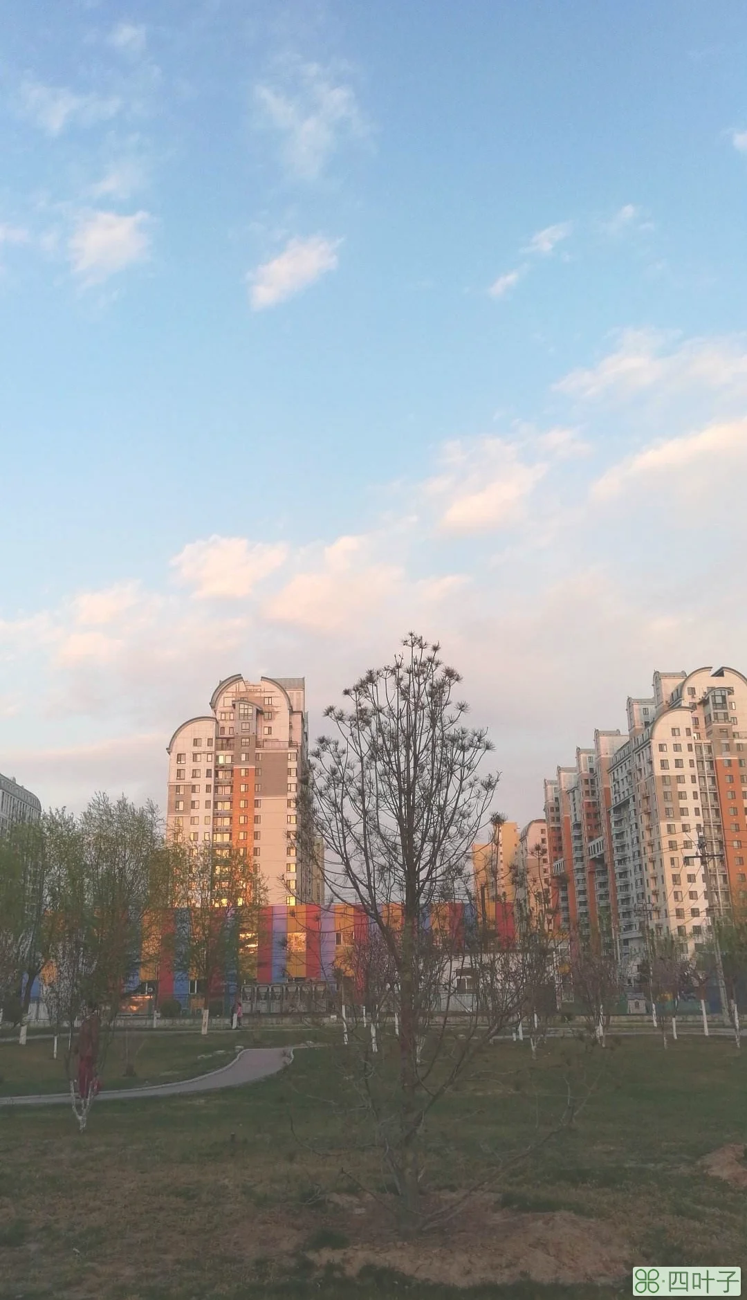 北京市丰台区天气预报查询十五天丰台最新通知