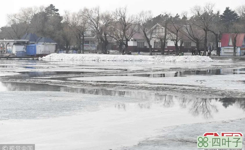 长春十五天气情况长春地区十五天天气预报