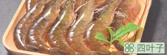 怎么做蒜蓉粉丝大虾(蒜蓉粉丝大虾的家常做法)