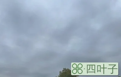上海南汇天气预报淮安天气