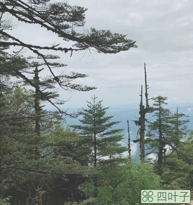 洪雅瓦屋山镇天气预报15天瓦屋山雅女湖天气预报