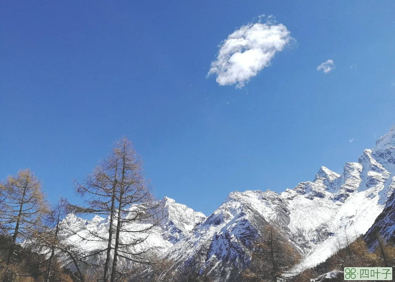 毕棚沟风景区天气毕棚沟风景区气温