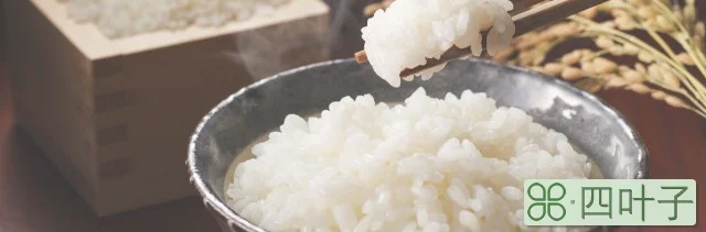 一碗米饭的热量简介