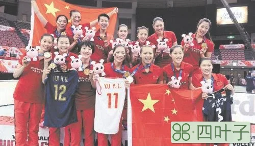 中国女排2015年世界杯（2015年女排世界杯夺冠有多不容易连伤6位大将让郎平崩溃）