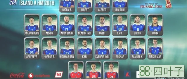 冰岛世界杯球员都是做什么（就在刚刚冰岛公布23人世界杯大名单）