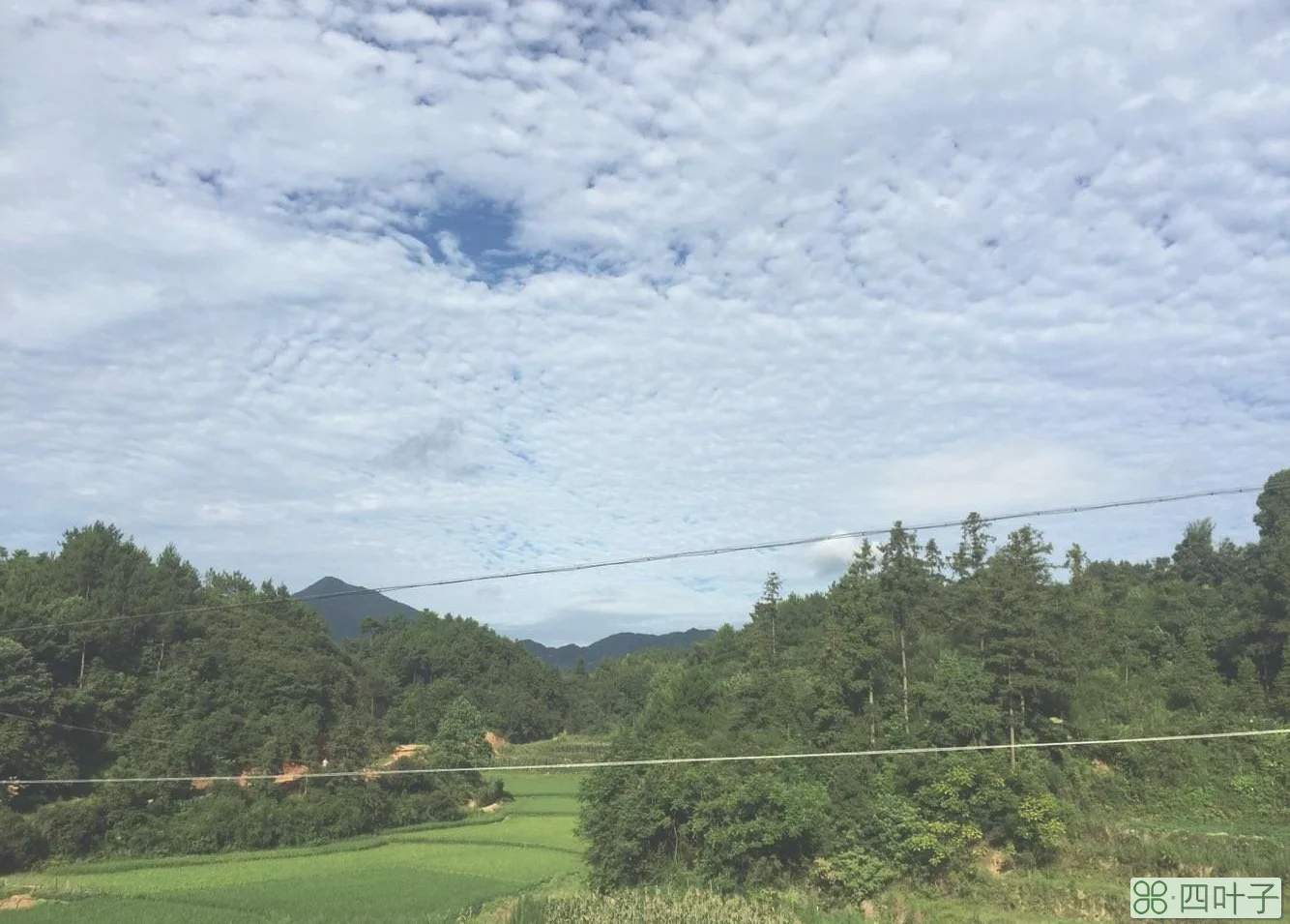 娄星区未来一个星期天气预报明天娄星区天气预报