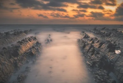 朝花夕拾人物性格(朝花夕拾人物性格思维导图)