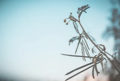 教师资格证和教师合格证的区别(教师资格证和教师合格证)