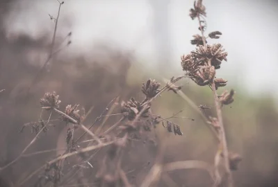 端午几天假（端午节放假几天）