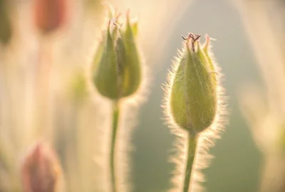 可以拍照搜题目答案的软件有哪些 好用的拍照解答应用app推荐